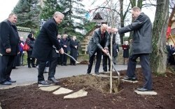 Uroczystość patriotyczna zasadzenia drzewa pamięci emisariusza z czasów II wojny światowej Jana Karskiego i mieszkańców Marcinkowic: Feliksa Widła oraz Jana Morawskiego, 22.11.2015r.