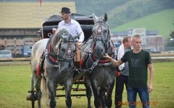 X Galicyjski Konkurs Powożenia Zaprzęgami Konnymi, Ujanowice, 29.07.2018r.